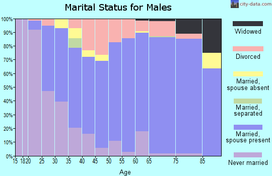 Zip code 28604 marital status for males