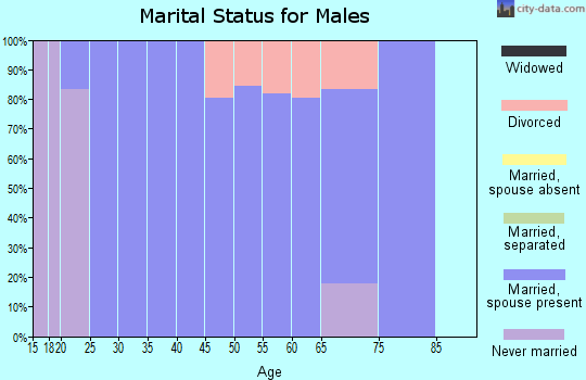 Zip code 28606 marital status for males