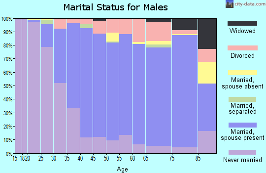 Zip code 28607 marital status for males