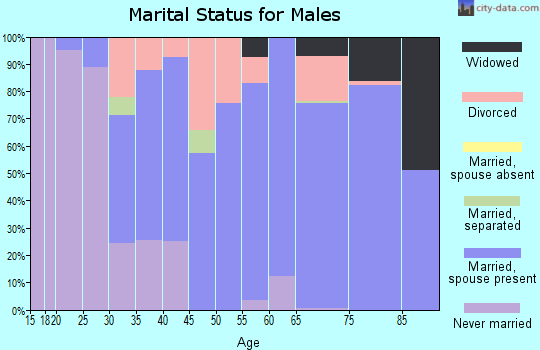 Zip code 28609 marital status for males