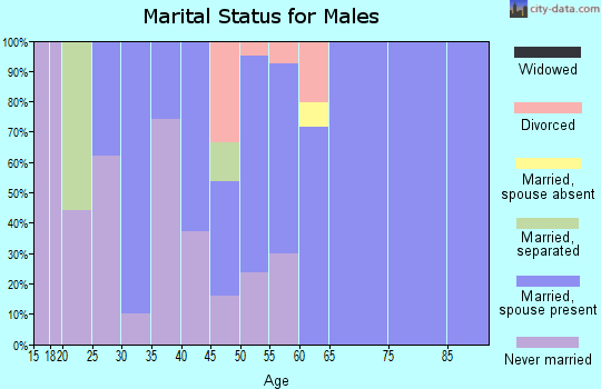 Zip code 28615 marital status for males