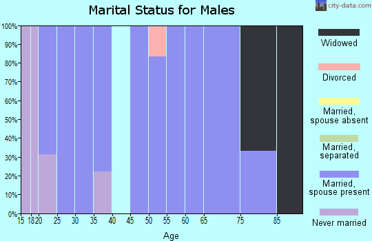 Zip code 28616 marital status for males
