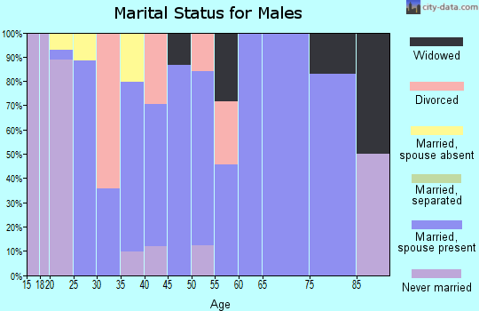 Zip code 28617 marital status for males