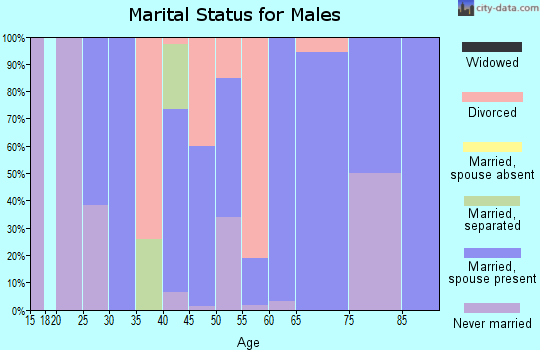 Zip code 28618 marital status for males