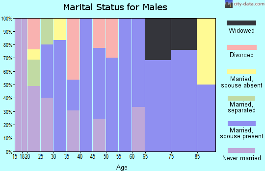 Zip code 28619 marital status for males