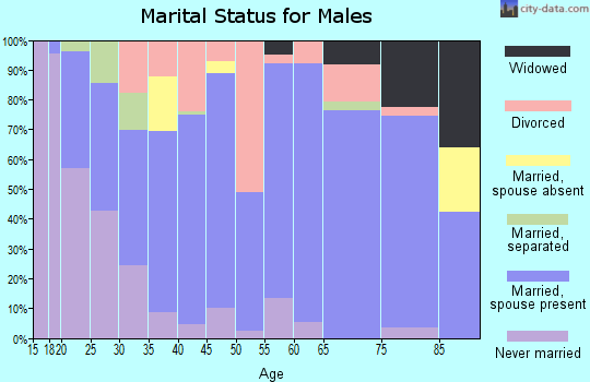 Zip code 28621 marital status for males