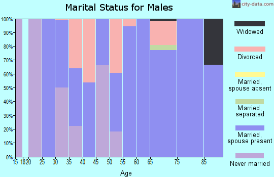 Zip code 28622 marital status for males