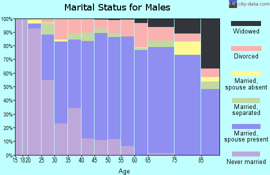 Zip code 28625 marital status for males