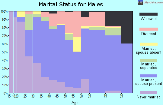 Zip code 28630 marital status for males