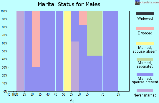 Zip code 28631 marital status for males