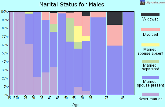 Zip code 28634 marital status for males
