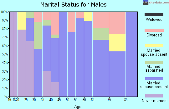 Zip code 28635 marital status for males