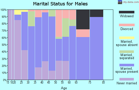 Zip code 28636 marital status for males