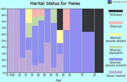 Zip code 28637 marital status for males