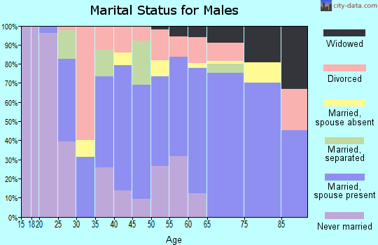 Zip code 28638 marital status for males