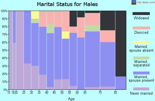 Zip code 28642 marital status for males