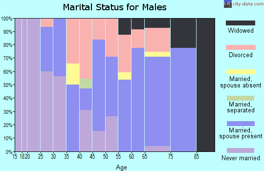 Zip code 28643 marital status for males