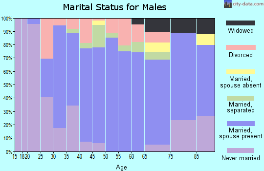 Zip code 28650 marital status for males