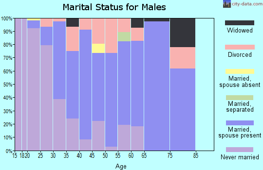 Zip code 28651 marital status for males