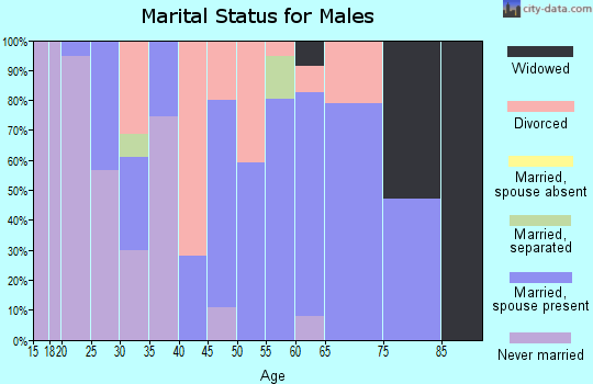 Zip code 28654 marital status for males