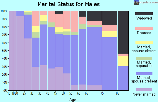 Zip code 28658 marital status for males