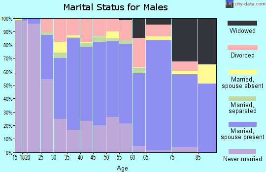 Zip code 28659 marital status for males