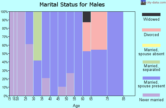 Zip code 28660 marital status for males
