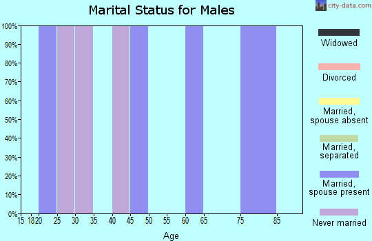 Zip code 28666 marital status for males