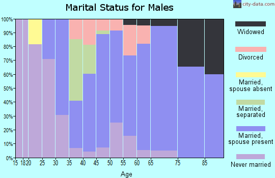 Zip code 28673 marital status for males