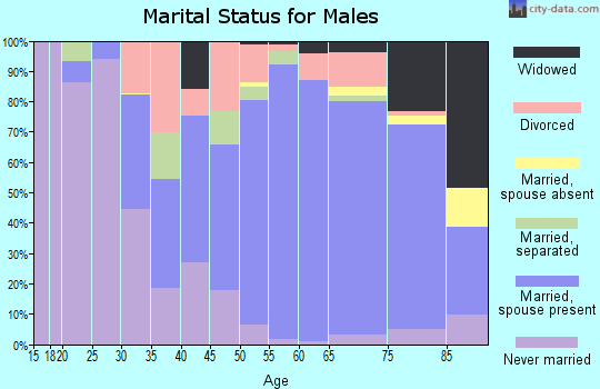 Zip code 28675 marital status for males