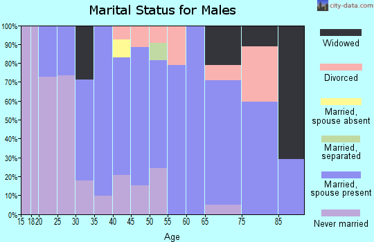 Zip code 28678 marital status for males