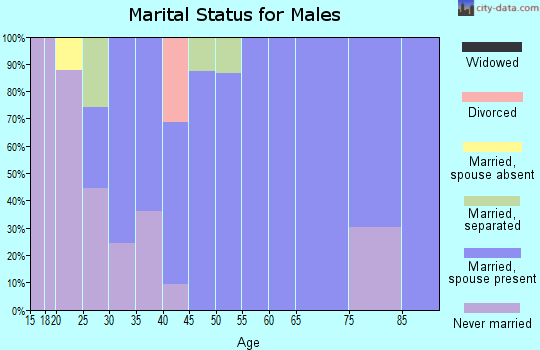 Zip code 28679 marital status for males