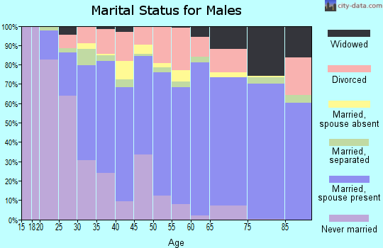 Zip code 28681 marital status for males