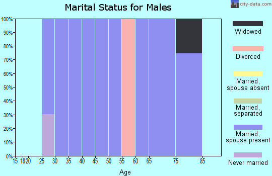 Zip code 28682 marital status for males