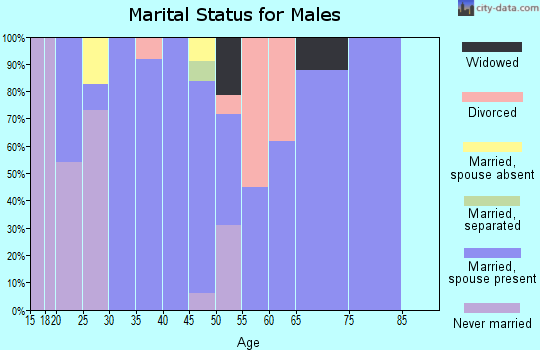 Zip code 28684 marital status for males