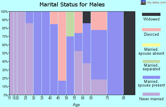 Zip code 28689 marital status for males