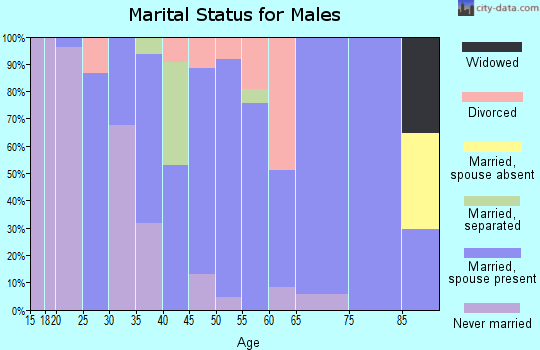 Zip code 28692 marital status for males