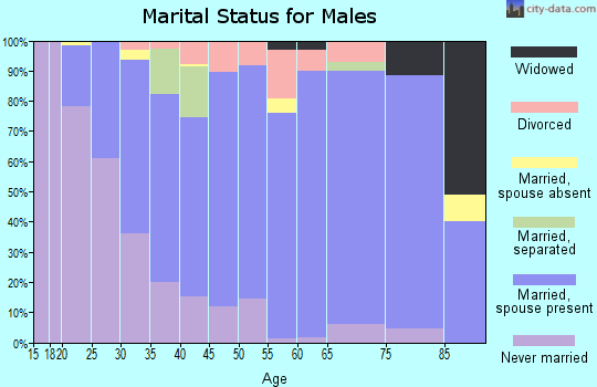 Zip code 28697 marital status for males