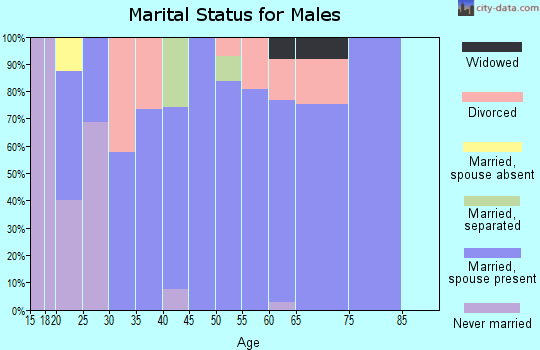 Zip code 28698 marital status for males