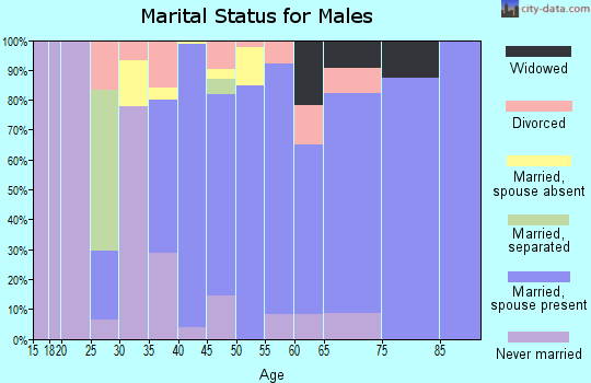 Zip code 28701 marital status for males