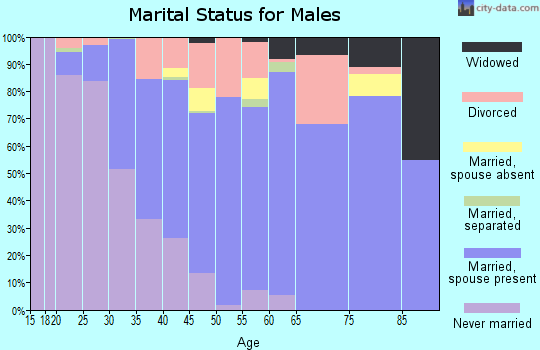 Zip code 28704 marital status for males