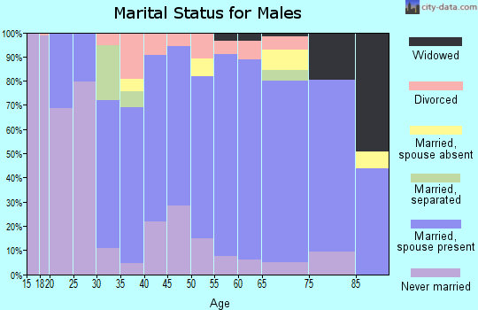 Zip code 28705 marital status for males