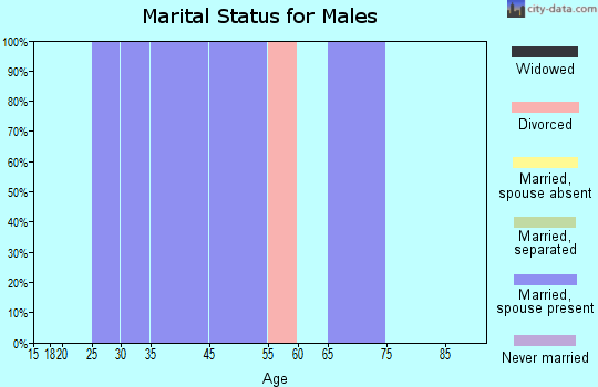 Zip code 28710 marital status for males