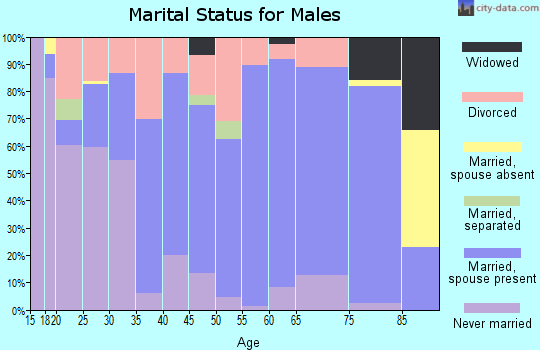 Zip code 28713 marital status for males