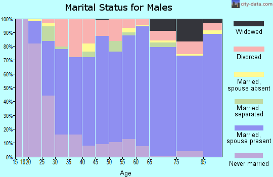 Zip code 28714 marital status for males
