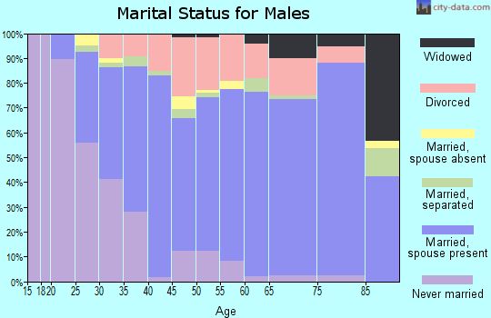 Zip code 28715 marital status for males