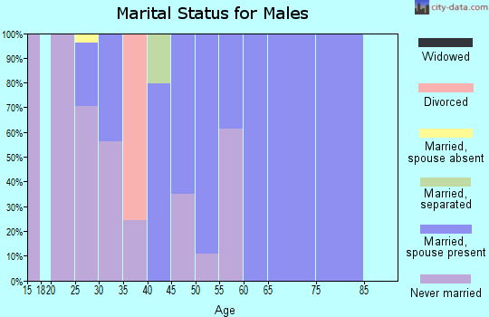 Zip code 28717 marital status for males