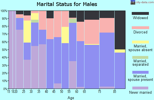 Zip code 28719 marital status for males