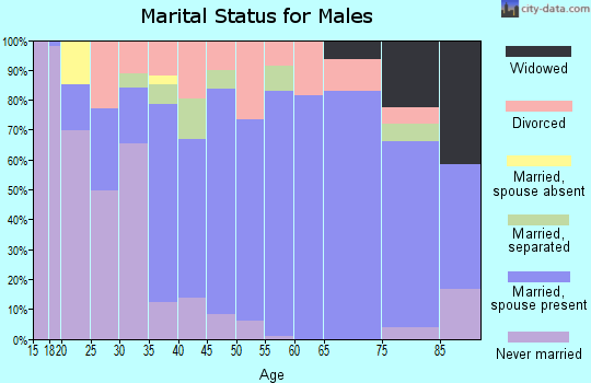 Zip code 28721 marital status for males