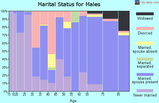 Zip code 28722 marital status for males